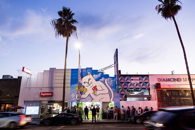 ripndip