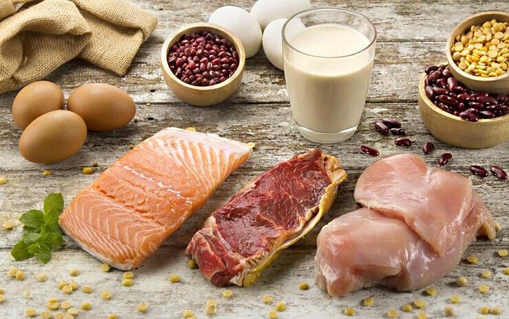 protein food