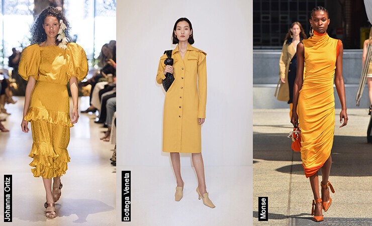 Turmeric color trend