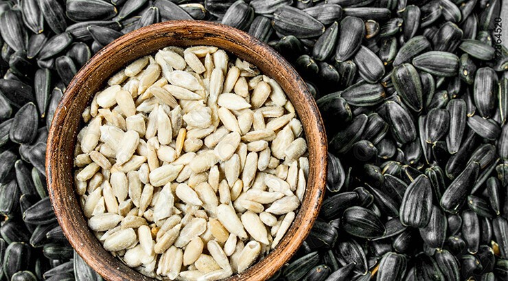 Sunflower seeds
