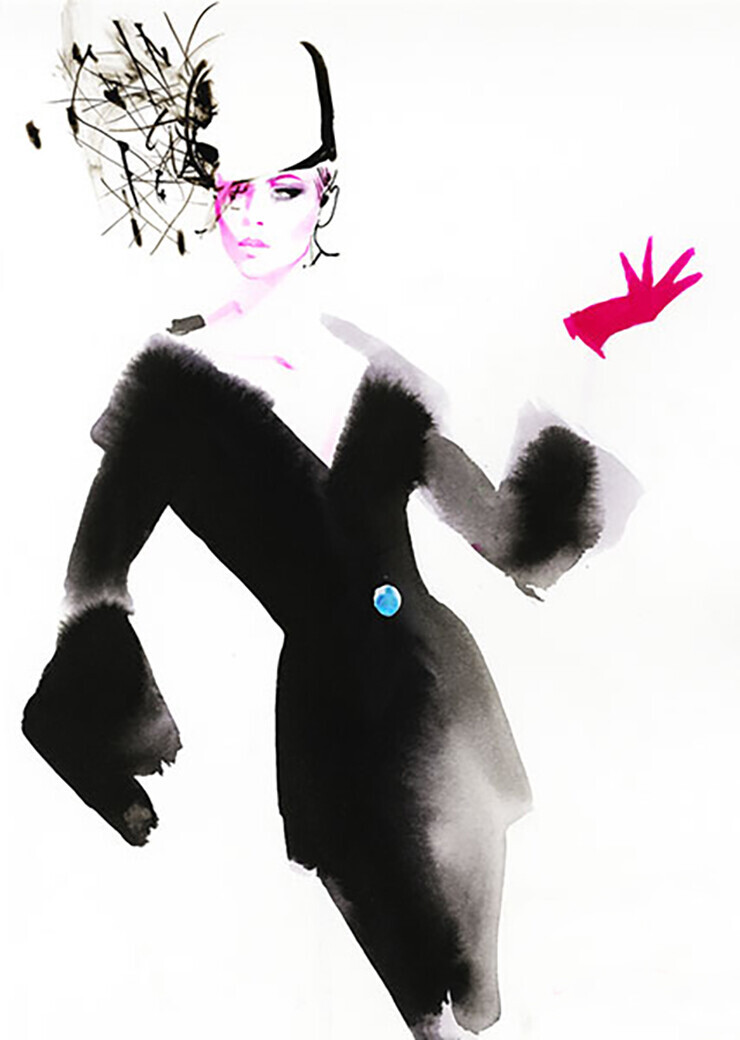 David Downton illustration