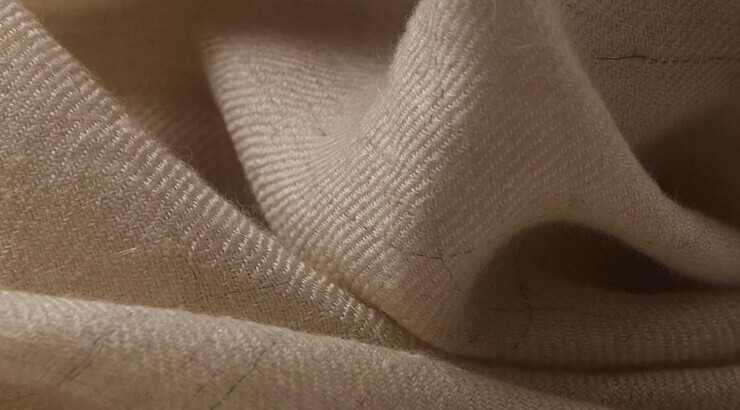 Pashmina