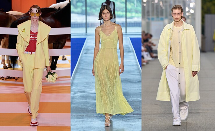 Butter Yellow Color