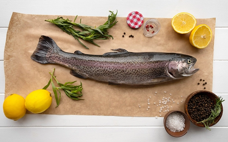 trout fish guide