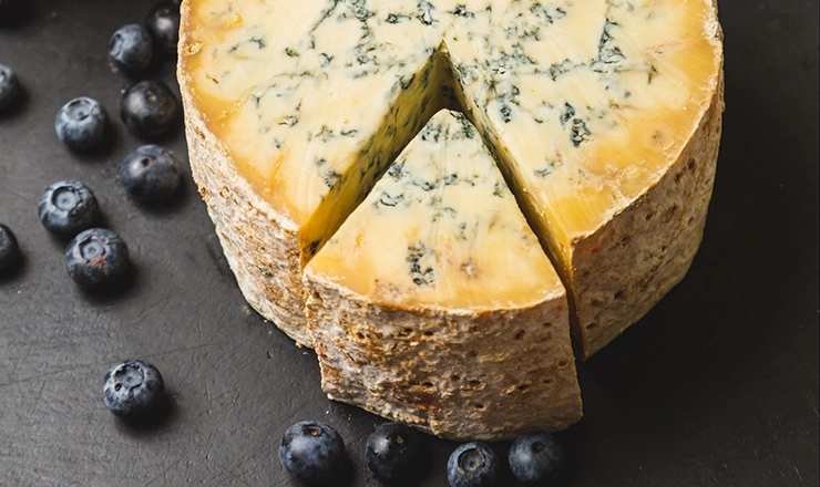 Moldy Cheeses
