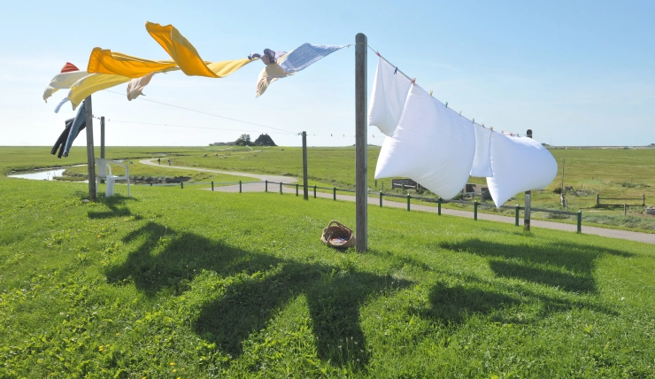 Vintage Clothing smell