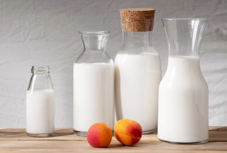 fat content in milk