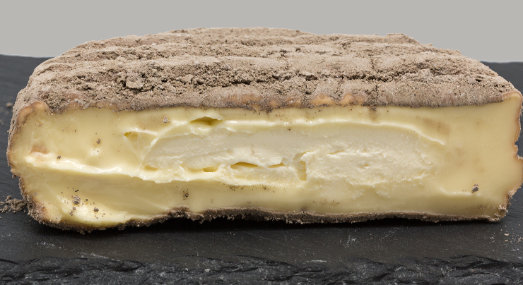 Aisy Cendre cheese