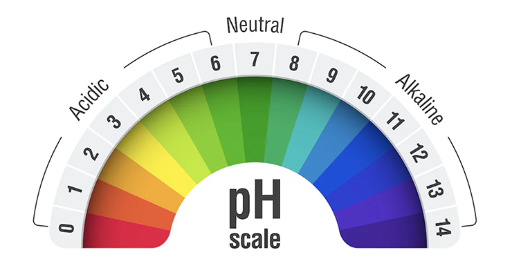 pH Balance