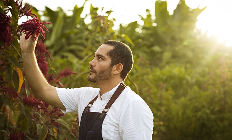 Rodrigo Pacheco chef interview