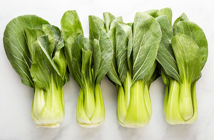 Bok Choy