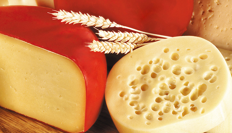 Gouda cheese