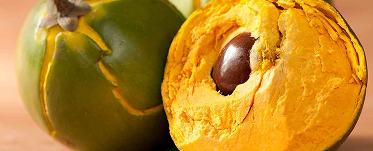 Lucuma fruit