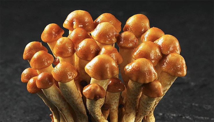 Nameko mushrooms