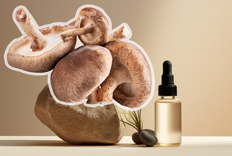 Shiitake Mushrooms in Skincare