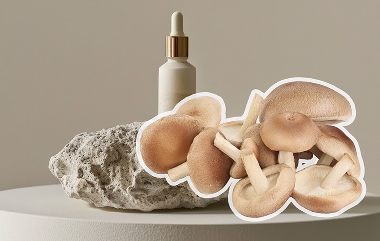 Shiitake Mushrooms in Skincare