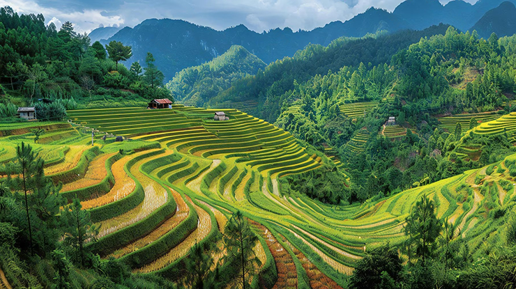 Vietnam traditional Clothing