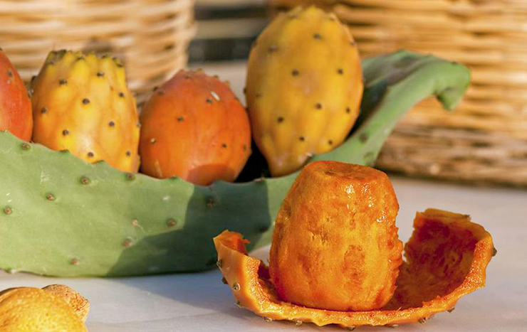 Fragosika is