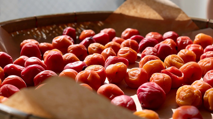 Umeboshi is