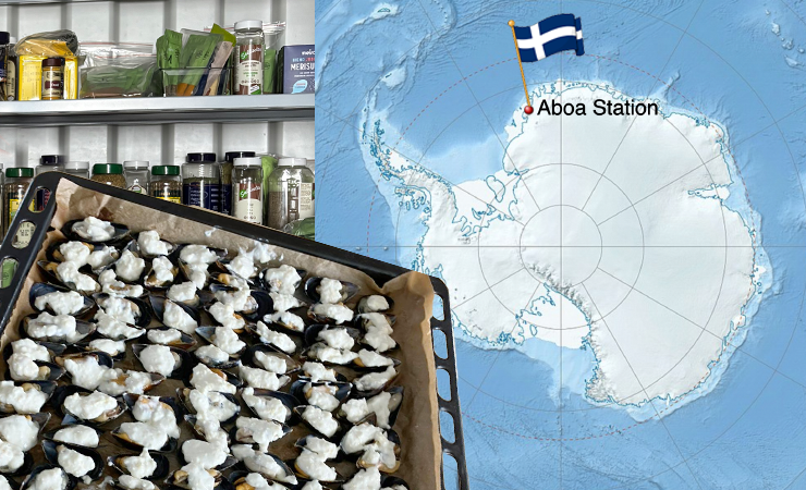 polar chef interview
