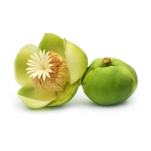 Elephant Apple is