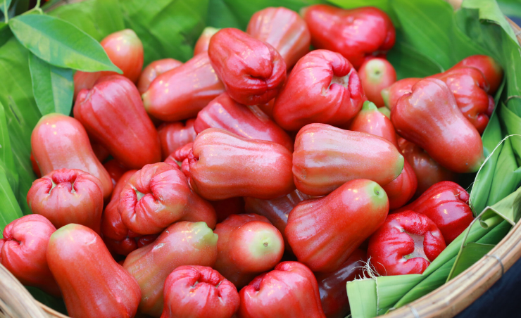 Water Apple is