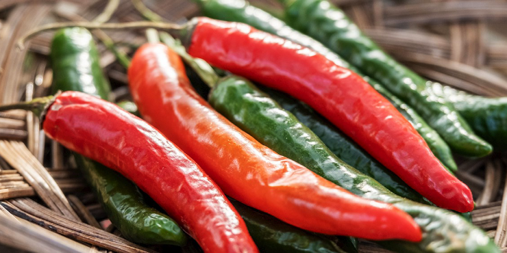 Korean Chili Pepper