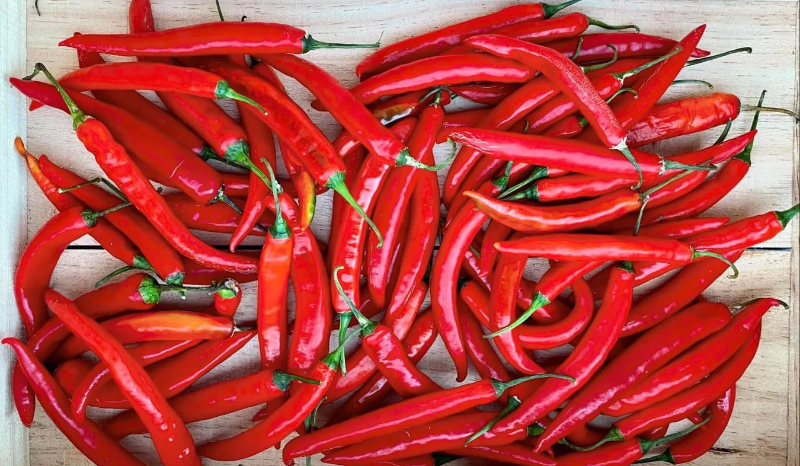 Korean Chili Pepper