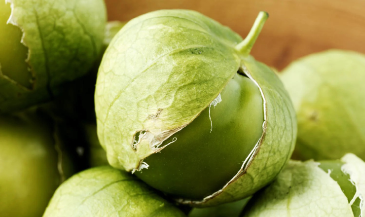 Tomatillo is