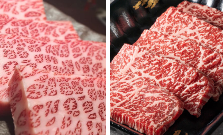 Wagyu Beef is