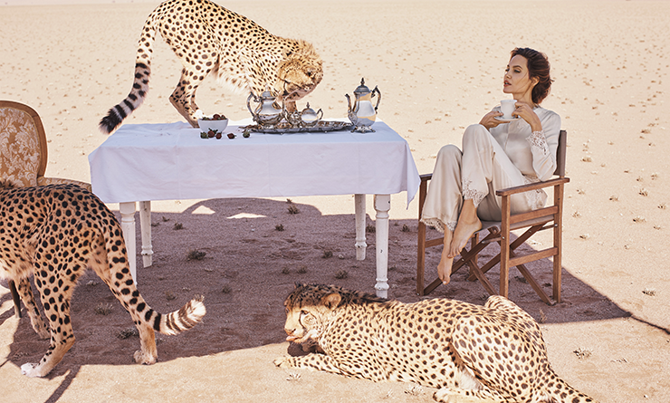 Alexi Lubomirski photographer official