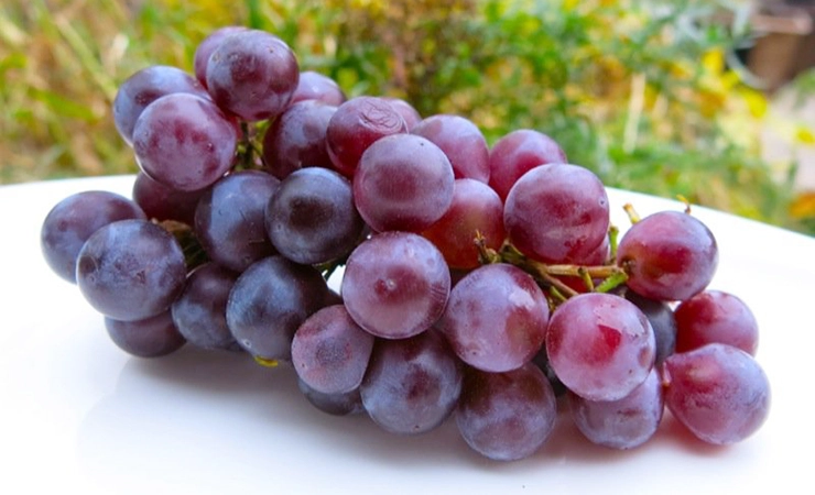 concord grape wine